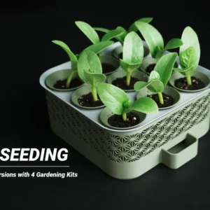 Self Watering Seed Starter with Greenhouse Cover